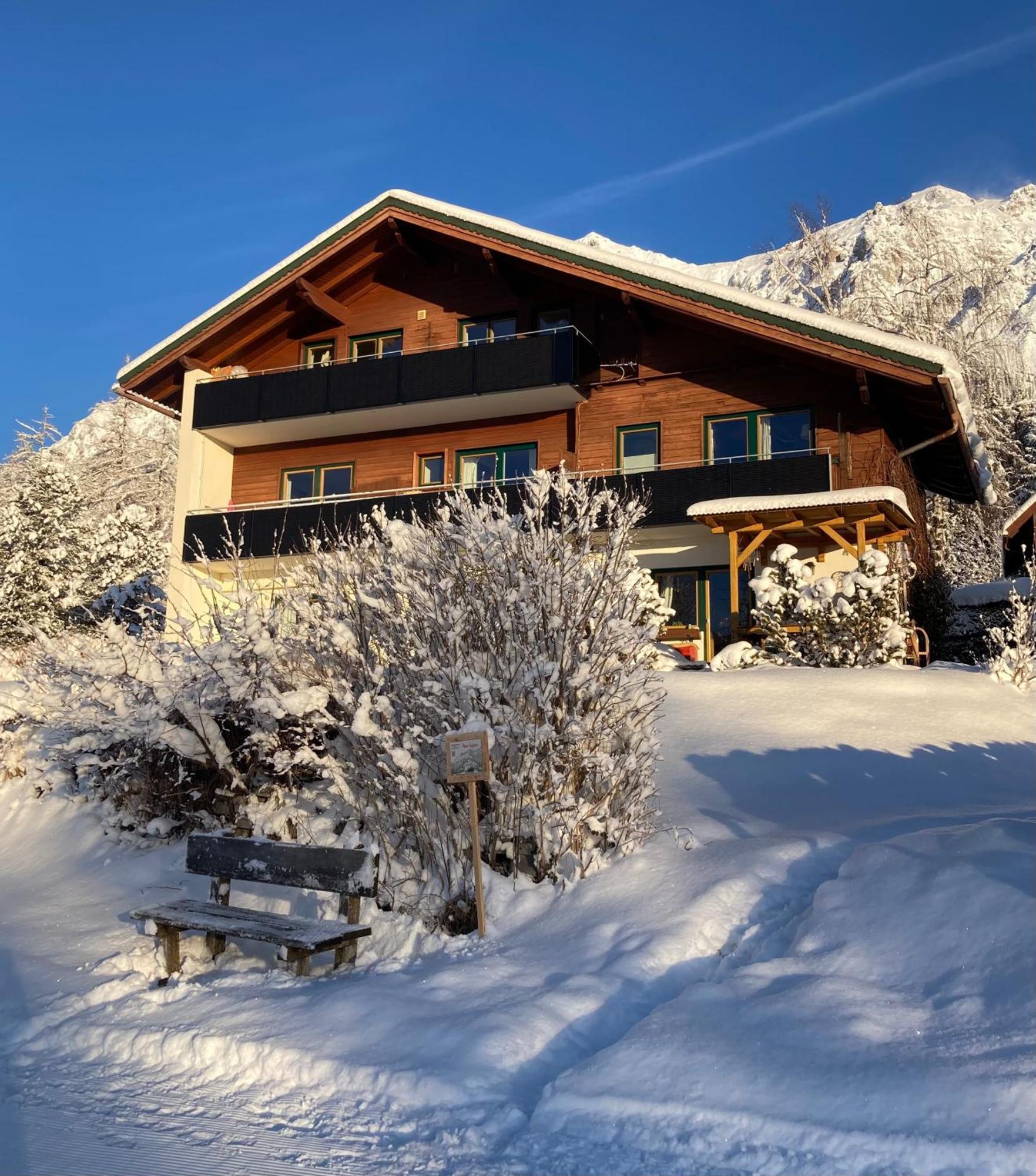 Haus Werner Apartment Ramsau am Dachstein Ngoại thất bức ảnh